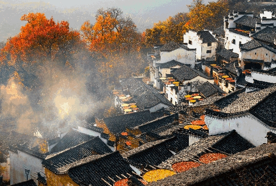 ����ɽ